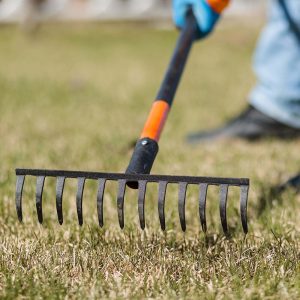 Изображение товара 983727