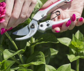 Изображение товара 684404