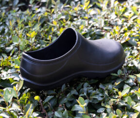 Изображение товара 1014084