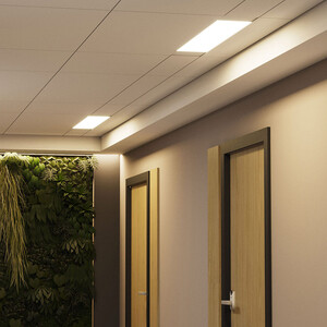 Изображение товара 661102