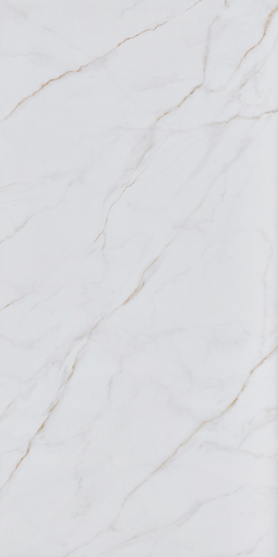 original-11535.jpg Керамогранит Alma Ceramica Neo Calacatta белый матовый 1200x600x8,5 мм (2 шт.= 1,44 кв.м) — изображение 1