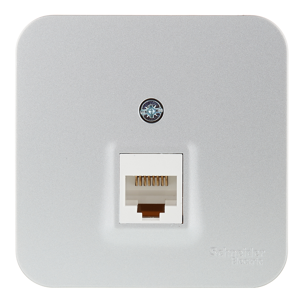 original-29462.jpg Розетка компьютерная Systeme Electric Blanca накладная алюминий RJ45 (BLNIA045003) — изображение 1