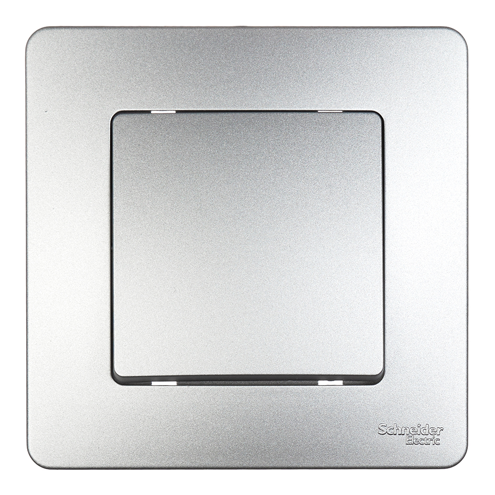 original-31788.jpg Переключатель Systeme Electric Blanca встраиваемый алюминий (BLNVS010603) — изображение 1