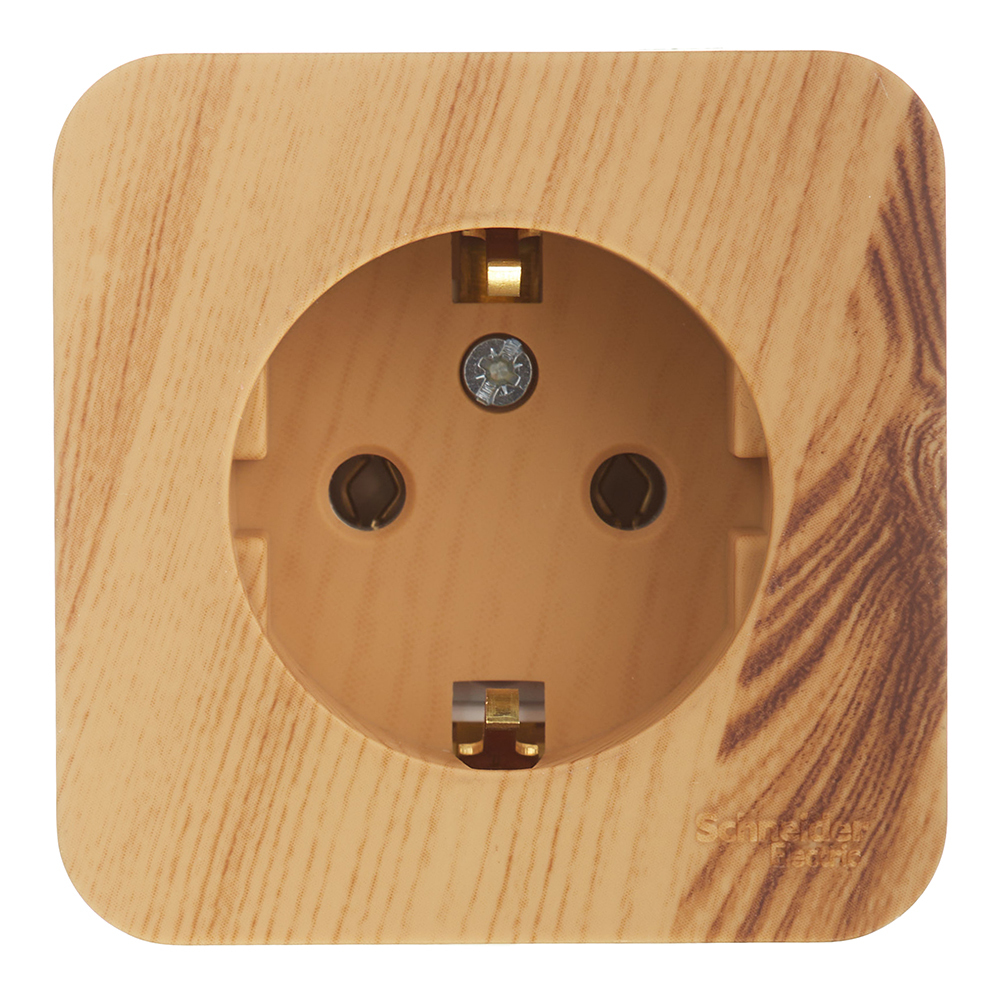 original-34179.jpg Розетка Systeme Electric Blanca накладная ясень (BLNRA010115) — изображение 1