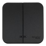 Выключатель Systeme Electric Blanca двухклавишный накладной антрацит с подсветкой (BLNVA105116)