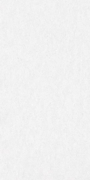 Керамогранит Delacora Absolute белый матовый 1200х600х9,5 мм (2 шт.=1,44 кв.м)