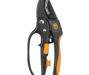 Изображение товара 985029