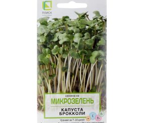 Изображение товара 1015763