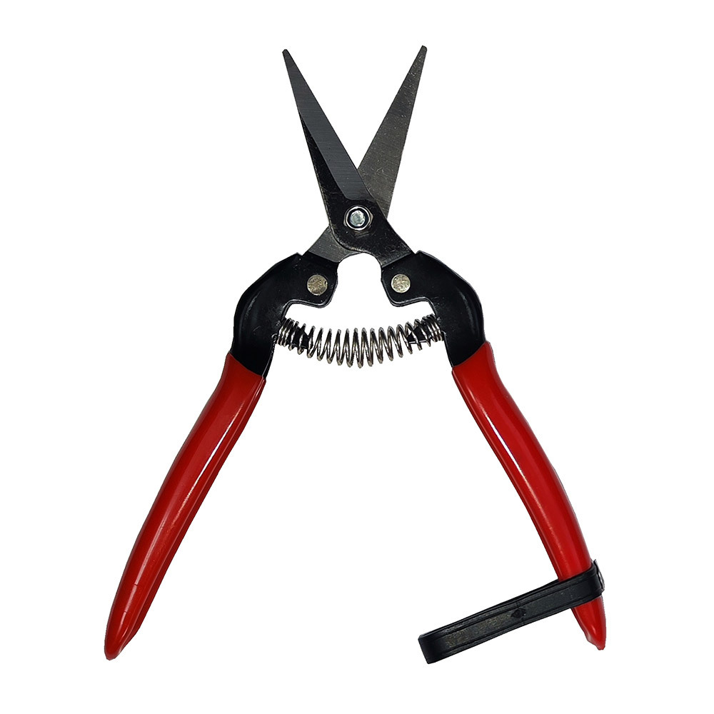 original-3564.jpg Изображение товара 1054316