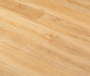 Изображение товара 1005905