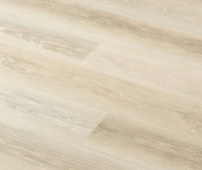 Изображение товара 1005912