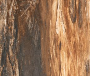 Изображение товара 1006950