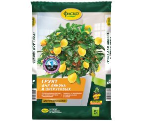 Изображение товара 1012389