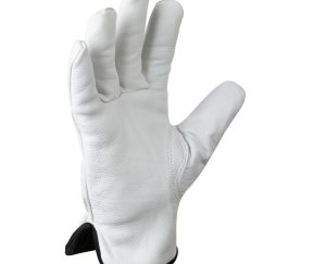 Изображение товара 1014035