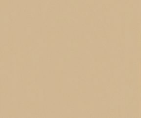 Изображение товара 1071663