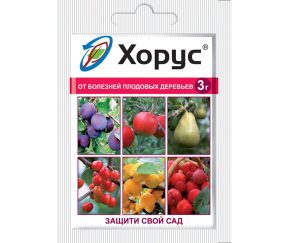 Изображение товара 1052386