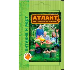 Изображение товара 1052393