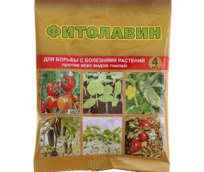 Изображение товара 1052385