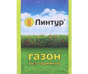 Изображение товара 1052388