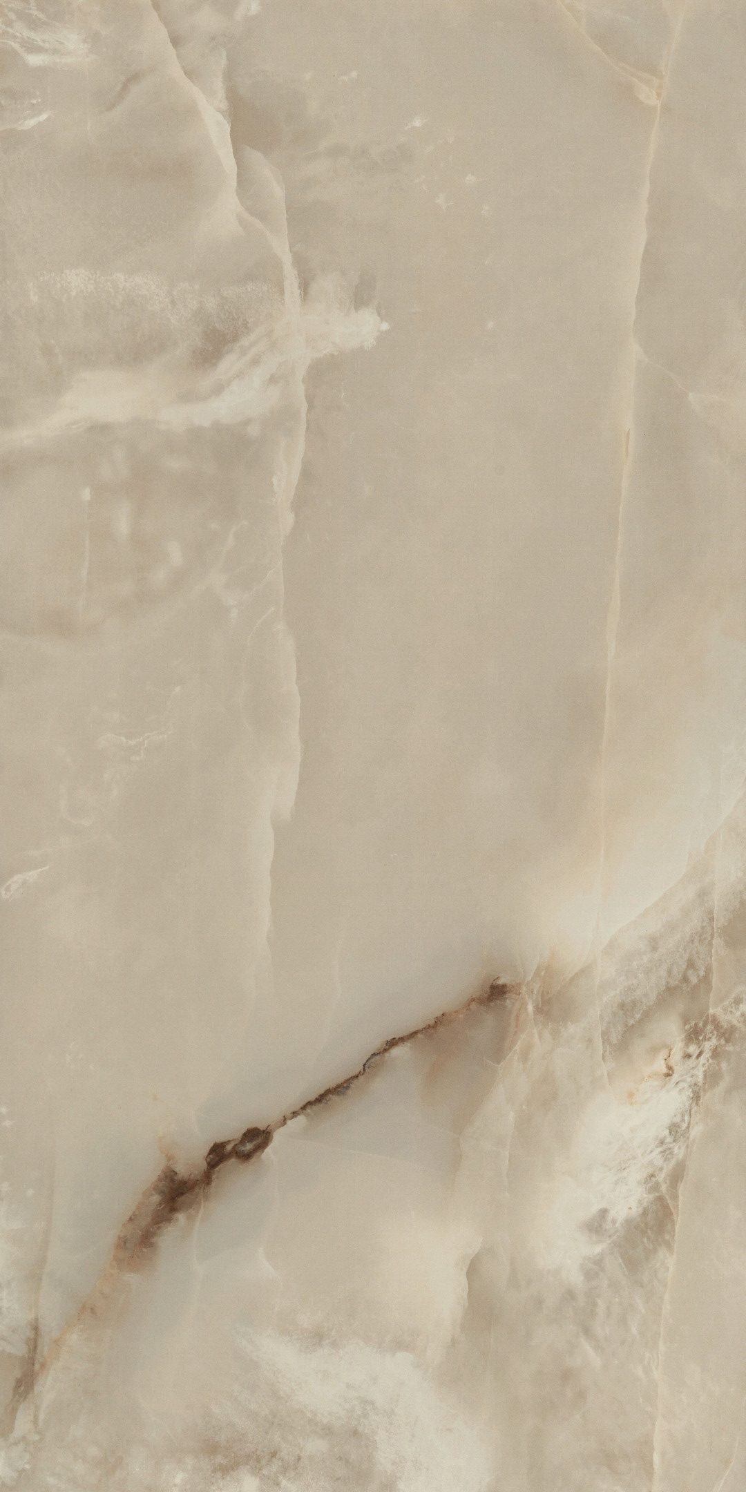 original-8656.jpg Изображение товара 1057865